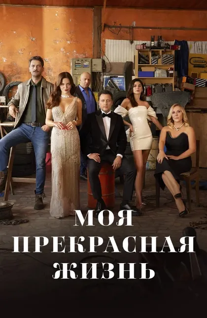 Моя прекрасная жизньŞ